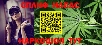 гашик Можга